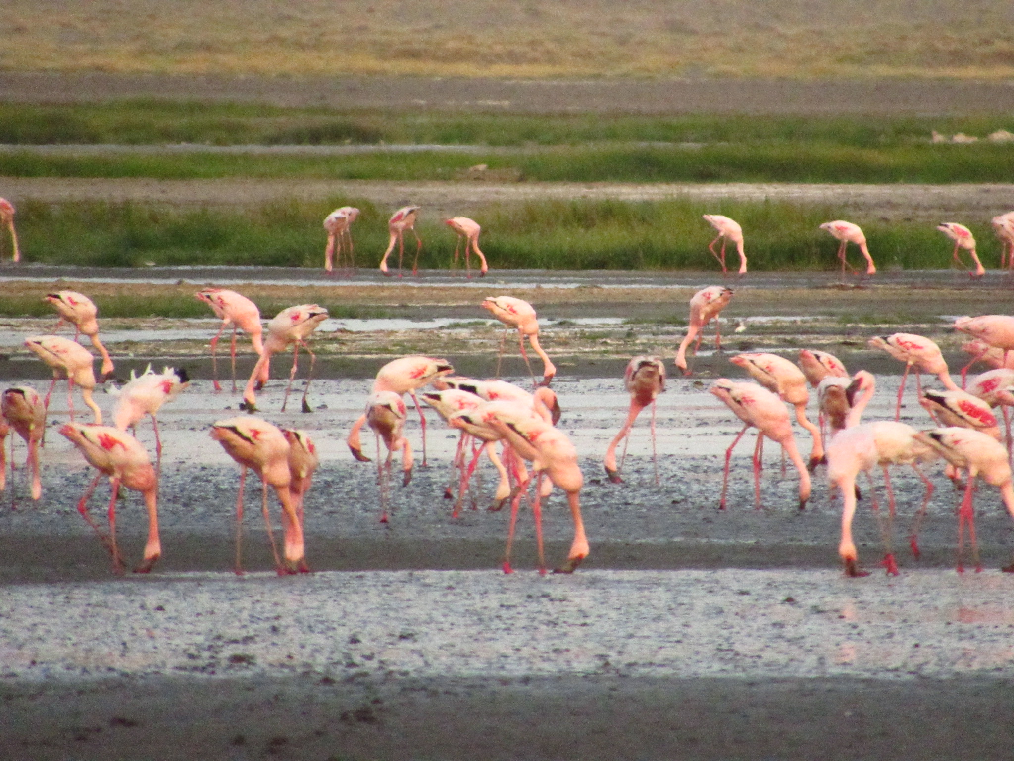 Day 4 Ngorongoro Crater