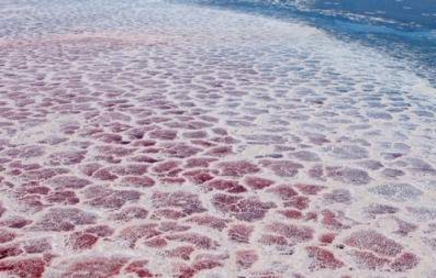 8-Day Tanzania Safari with Lake Natron – Oldoinyo Lengai